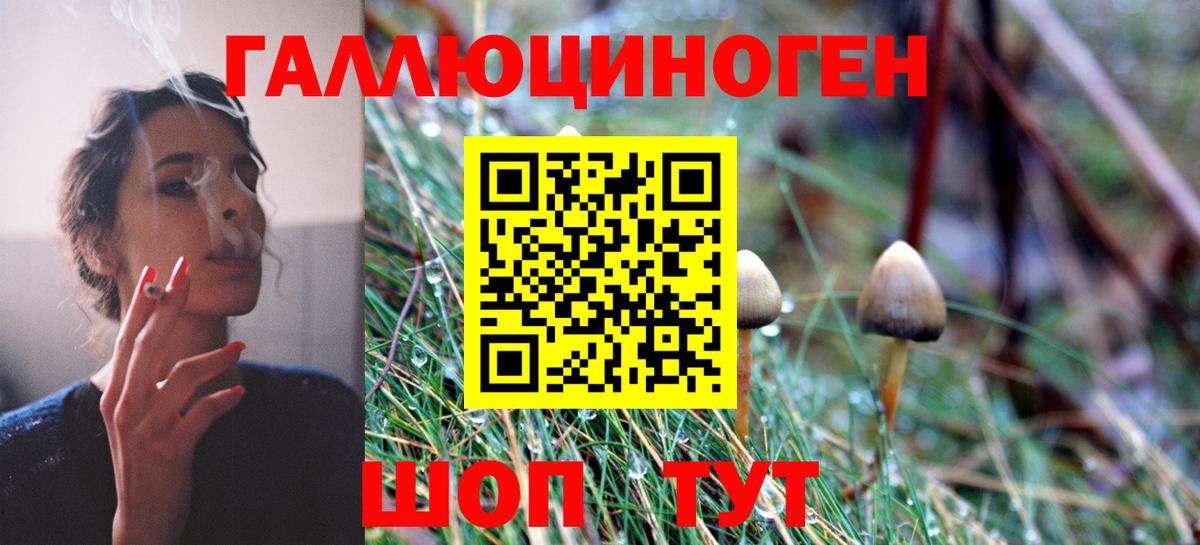 Псилоцибиновые грибы мухоморы Мирный
